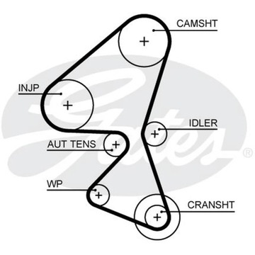 РЕМЕНЬ ГРМ GATES 5656XS
