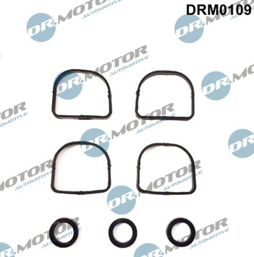 DRM0109 DR.MOTOR AUTOMOTIVE КОМПЛЕКТ ПРОКЛАДОК КОЛЕС. SS. BMW N46