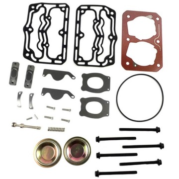 SET / SATZ DES KOMPRESSORS DAF 95 XF CF 75MM 442CM3 VERSTEIFUNG BLÜTENBLÄTTER SCHRAUBEN VENTILE