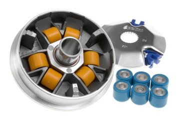 VARIATOR POLINI SPEED CONTROL SUZUKI KATANA ZILION