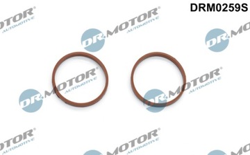 DR.MOTOR DRM0259S КОМПЛЕКТ ПРОКЛАДОК, КОЛЛЕКТОР ВПУСКНОЙ