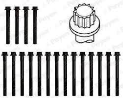 PAYEN HBS315 КОМПЛЕКТ БОЛТОВ ГОЛОВКИ ЦИЛИНДРОВ