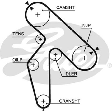 РЕМЕНЬ ГРМ GATES 5391XS