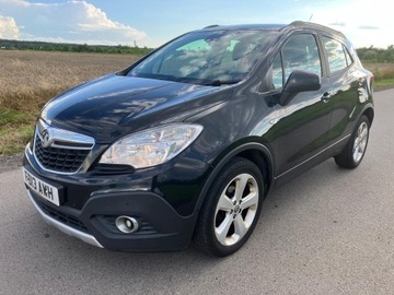 OPEL MOKKA ДВЕРЬ ЗАДНИЙ ЗАДНИЙNE ЛЕВАЯ Z22C W-WA