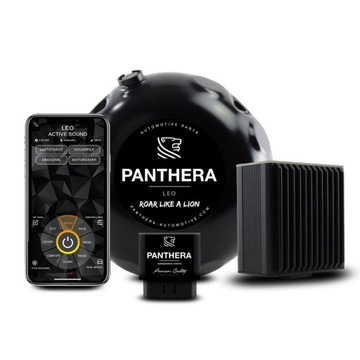 АКТИВНЫЙ ВЫХЛОПНАЯ PANTHERA LEO ACTIVE SOUND 6.0 ALFA ROMEO GIULIA