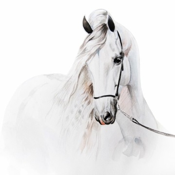 ПАСТЕЛЬНЫЙ ЛОШАДЬ НАКЛЕЙКА НА СТЕНУ ДЛЯ ДЕВОЧКИ