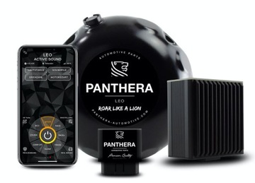 АКТИВНЫЙ ВЫХЛОПНАЯ PANTHERA LEO 6.0 (BOXER | R4 | R6| V6 | V8 | V12 | E-SOUND)