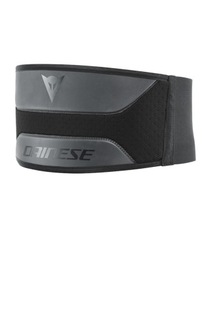 DAINESE ПАНЕЛЬ NERKOWY LUMBAR BELT LOW ROZ.L