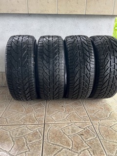 RIKEN MICHELIN SNOW 225/45/17 94V XL ШИНЫ ЗИМНИЕ