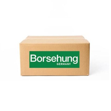 Клапан впускный всасывающий b19024 borsehung, фото