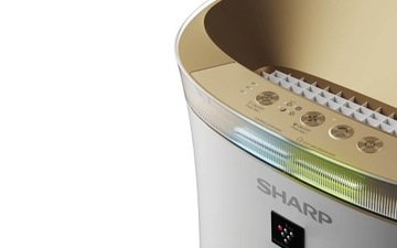 Очиститель воздуха Sharp UA-PG50E-W Plasmacluster