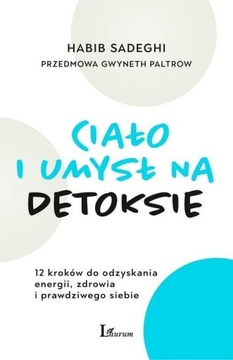 Ciało i umysł na detoksie 12 kroków, Habib Sadeghi