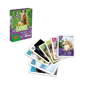 Питерские карты. Память лошади.