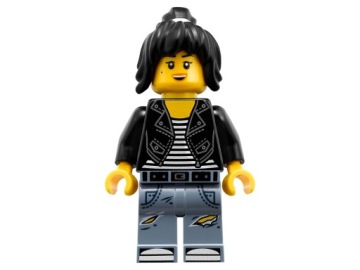LEGO Ninjago LEGO Ninjago Bricks НИНДЗЯГО Погоня