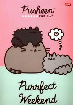 TECZKA Z GUMKĄ A4 PUSHEEN