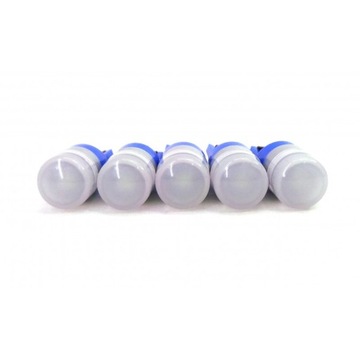 LED T10 W5W 12V CANBUS 190лм Холодный синий