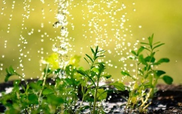 КОНТРОЛЛЕР ОРОШЕНИЕ ТАЙМЕР ПОЛИВА 120 МИН