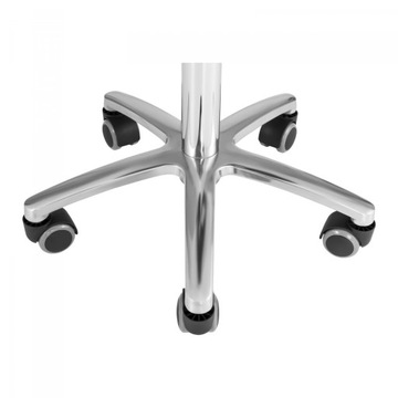 Табурет, косметический табурет со спинкой на колесиках, до 150 кг TERNI zie