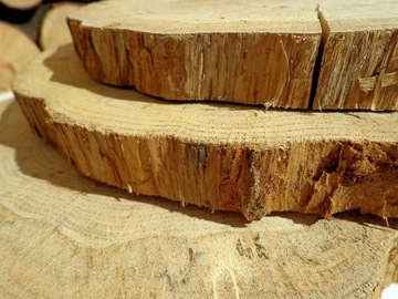 Срез деревянного диска без коры Дуб 15-19 см флек