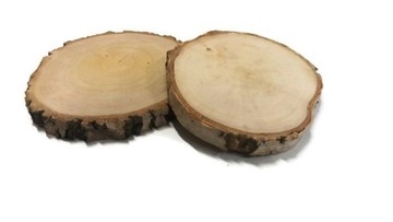 Plastry drewna brzoza szlifowane śr 20-28cm gr 2cm