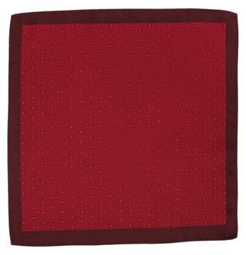 Элегантный и модный нагрудный платок Alties