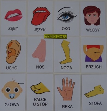 Карточки для чтения с картинками для детей А6