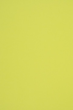 Papier ekologiczny Woodstock 140g pistacjowy 10A4