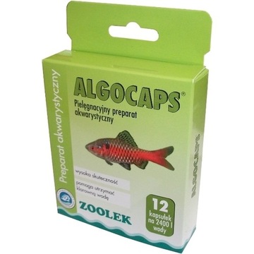ZOOLEK ALGOCAPS ALGITOX NAJLEPSZY NA GLONY