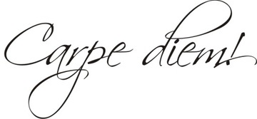 Napis na ścianę chwytaj chwilę - Carpe diem - 94