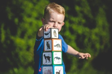 ДВУЯЗЫЧНАЯ ИГРОВАЯ ПИРАМИДА Монтессори ЖИВОТНЫЕ +1