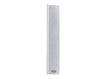 Dexon - DPT 206 kolumna 100V 30 W