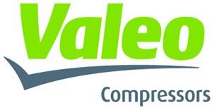 Компрессор Seltec Valeo TM15XS 12В 2А прямой 1×14
