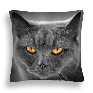 PODUSZKA SZARY KOT 41 PRZENIKLIWE SPOJRZENIE YELLOW