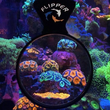 Аквариумная лупа Flipper DeepSee Standard 10 см