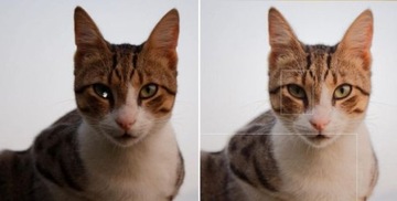 КУРС DXO OPTICS PRO 11 – ТЕМНАЯ КОМНАТА ФОТОГРАФА – ZIP