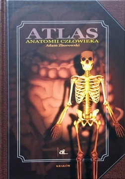 ATLAS ANATOMII CZŁOWIEKA ADAM ZBOROWSKI