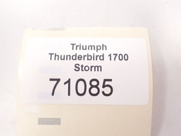 Заливка охлаждающей жидкости Triumph Thunderbird 1700