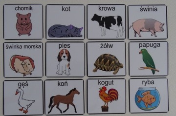 Mega zestaw piktogramów z 54 sztuk kart aktywności