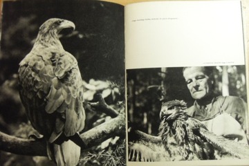 СРЕДИ ЛЕСОВ И ОЗЕР Здзислав Вдовиньский