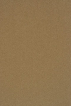 Papier ekologiczny Kraft EKO PLUS 340g brąz 20A4
