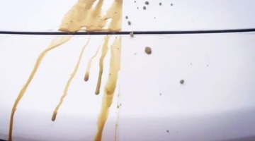 Кварцевое автопокрытие Carbody Nanocoating 1 год