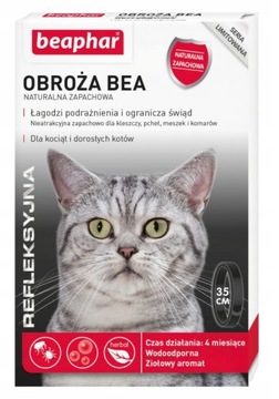 BEAPHAR obroża pchły kleszcze kot ODBLASKOWA