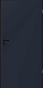 Drzwi wielofunkcyjne Hormann D55, 100x205P Antracy