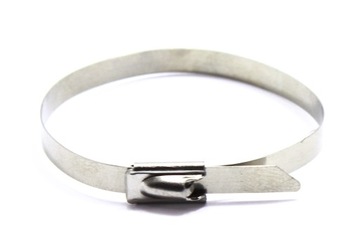 ЛЕНТА СТАЛЬНАЯ ЗАЖИМНАЯ 300Х4,6 МЕТАЛЛ 100 ШТ.