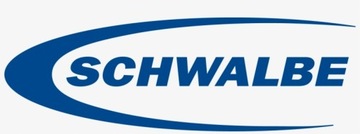 SCHWALBE Racing Ray Performance 29x2,25 TLR Addix