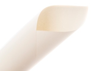 БУМАГА ВИЗИТОЧНАЯ 246г/м Elfenbens декоративная 100 л. для дипломов и приглашений