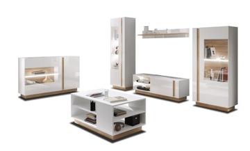 ВЫСОКАЯ ВИТРИНА НА 60 ПРЕДМЕТОВ ПОЛКА СО СТЕКЛОМ