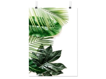 PLAKAT LIŚĆ LIŚCIE ROŚLINY 50x70CM MAT 78 WZORÓW