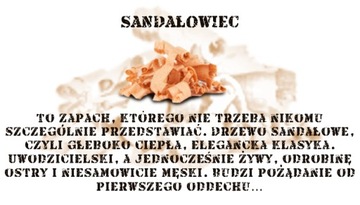 BEARDED Man / Men's Wax - Ароматный воск для бороды