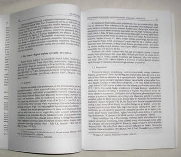 РАСШИРЕННЫЙ ЕВРОПЕЙСКИЙ СОЮЗ НАЦИОНАЛЬНЫХ МЕНЬШИНСТВ